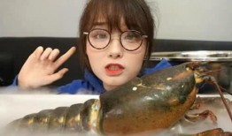 骚年龙虾爆料视频大全最新,揭秘视频大全背后的精彩瞬间